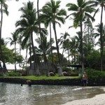 Dica da Leitora Trip – Havaí
