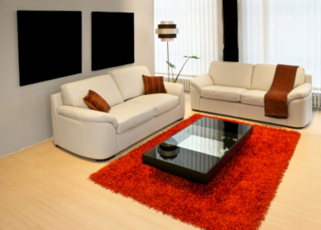 Modern living room with two leather sofas