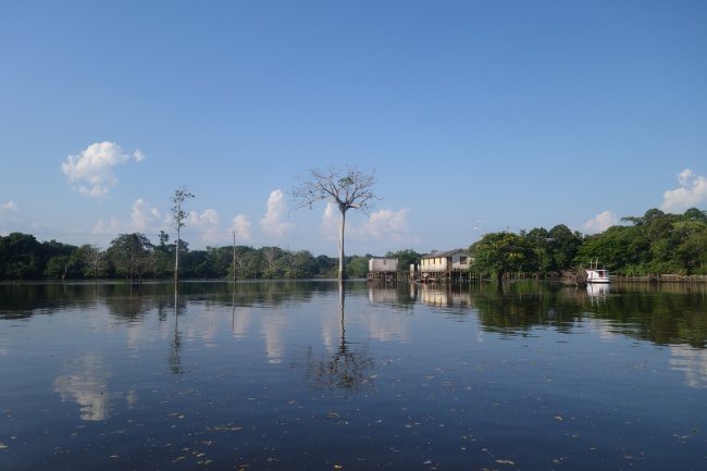 manaus12