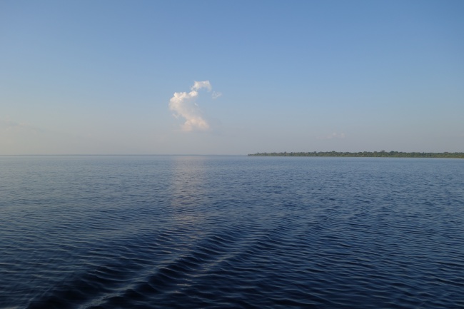 manaus16