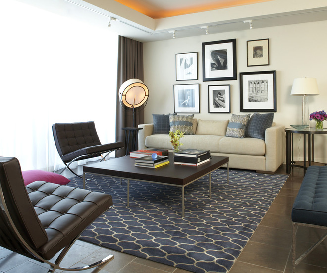 Living-Room-Rugs-Modern-Contemporary-Design-Ideas
